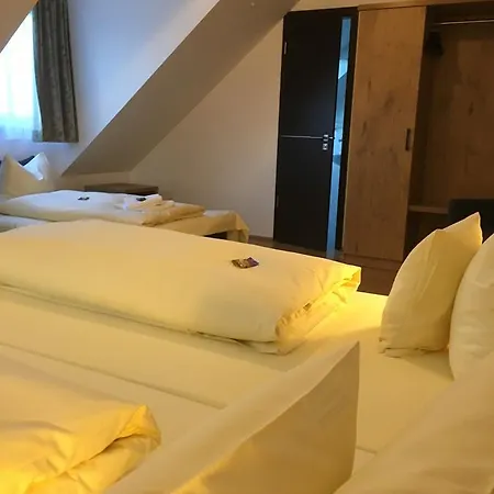 Parkhotel Leiser 3* Планег