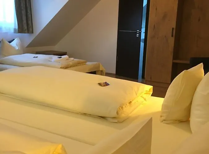 파크호텔 라이저 3* 플라넥